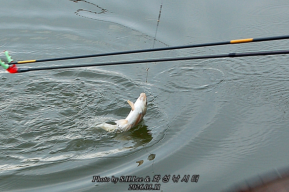 DSC_2348.JPG