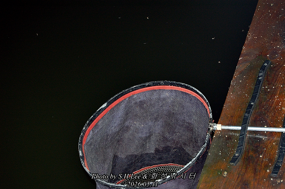 DSC_2356.JPG