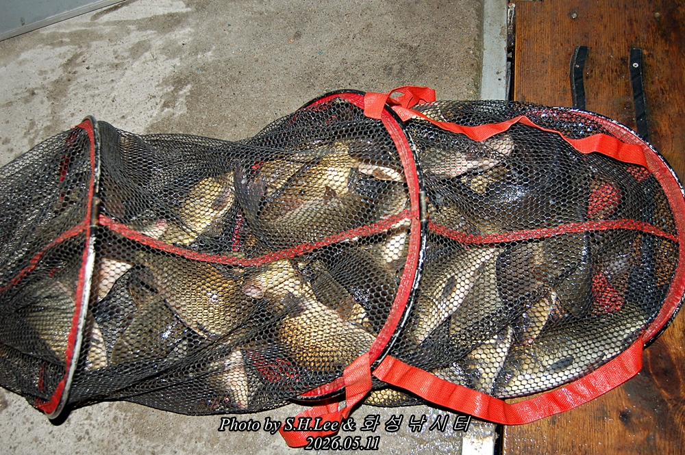 DSC_2358.JPG