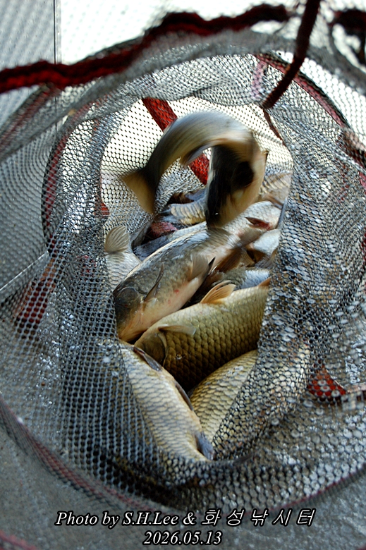 DSC_2411.JPG