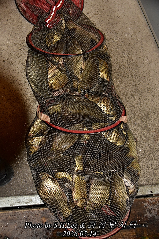 LEE_4193.JPG
