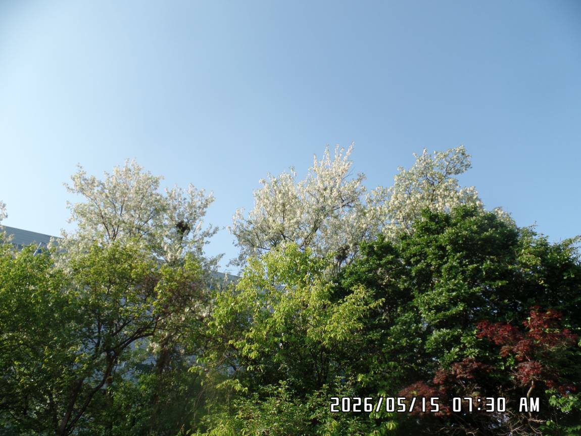 SAM_4190.JPG