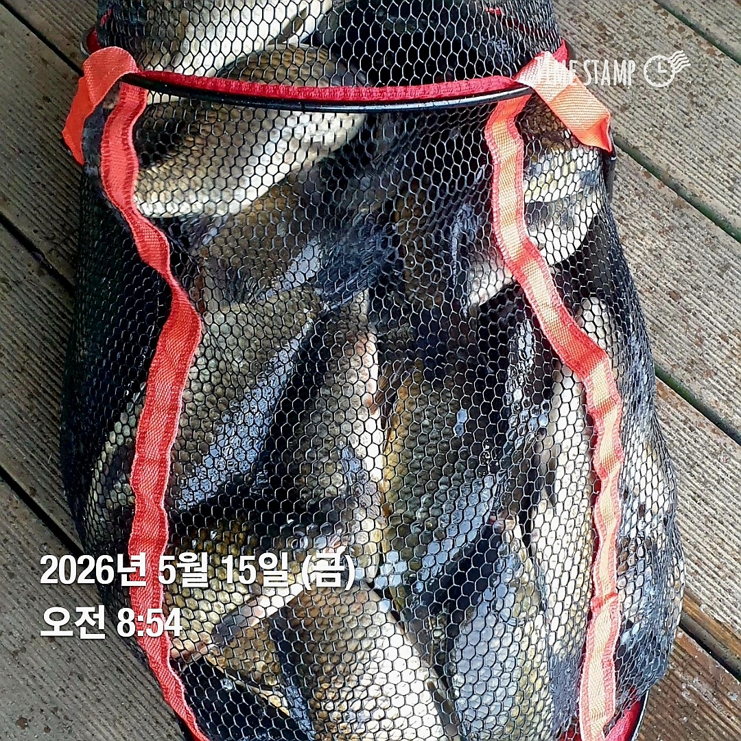 1778803084096.jpg