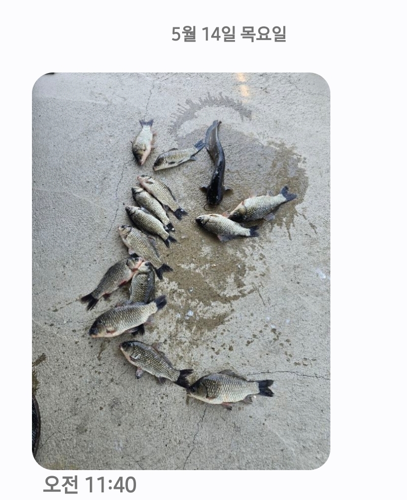 Screenshot_20260514_121213_Messages.jpg