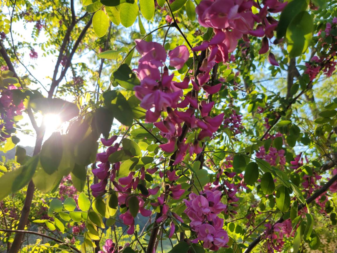 20260509_170027.jpg