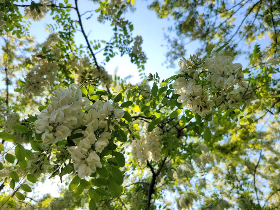 20260514_145552.jpg