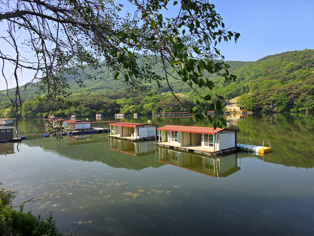 KakaoTalk_20260516_082908794_01[edit].jpg
