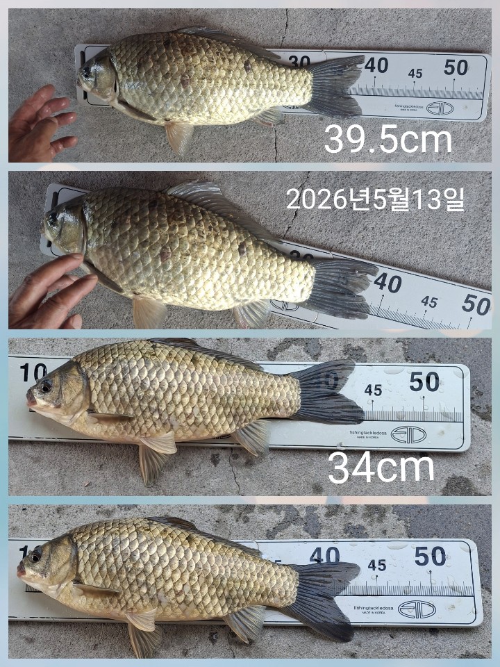 KakaoTalk_20260516_205651229.jpg