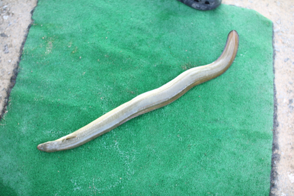 ũ�⺯ȯ_IMG_7106.JPG