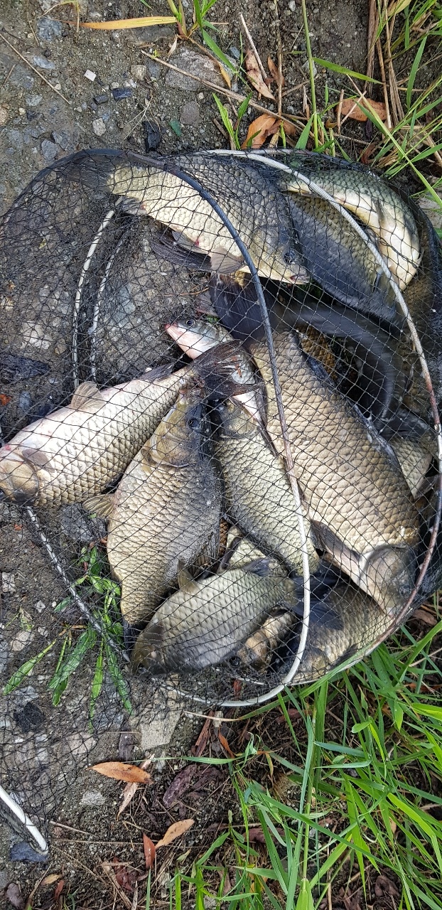 1659225669281.jpg