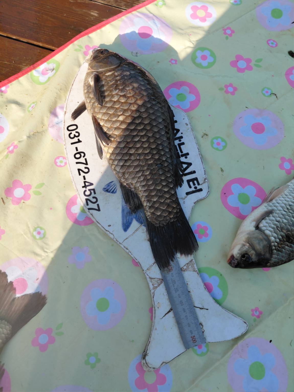 KakaoTalk_20260517_213447638_01.jpg