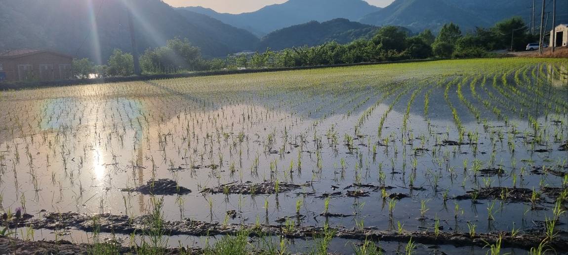 KakaoTalk_20260517_220549222_05.jpg
