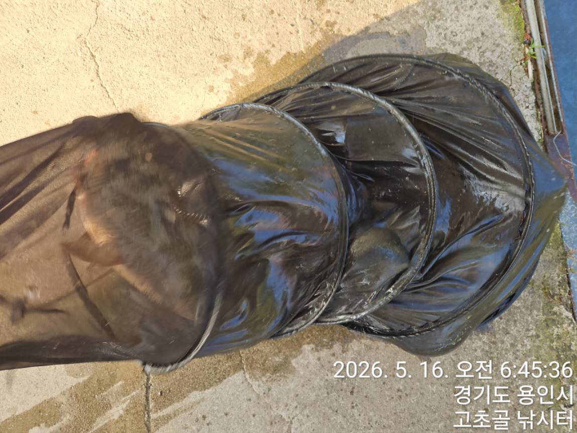 1779011716641.jpg