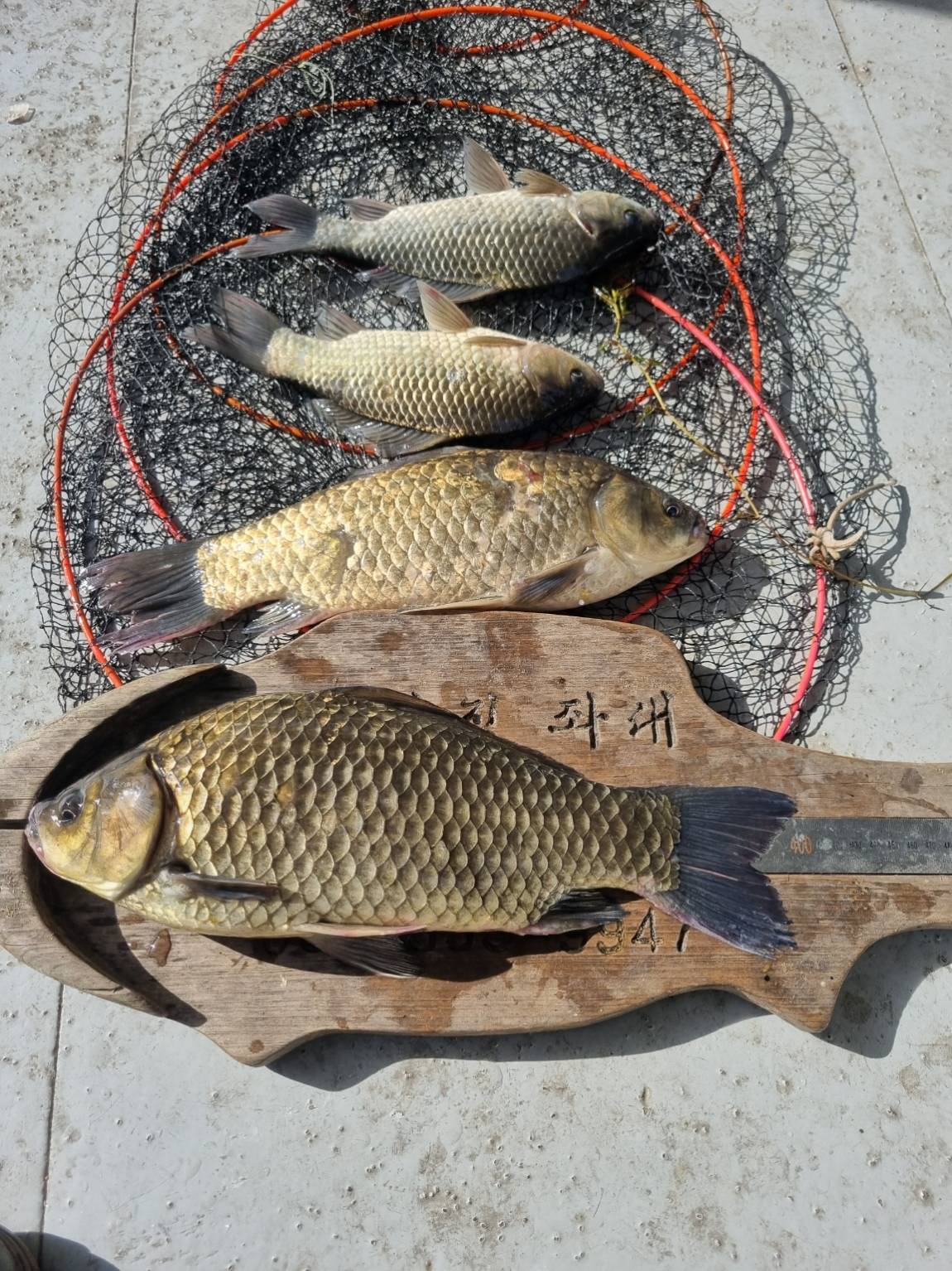 KakaoTalk_20260517_165429944_04.jpg