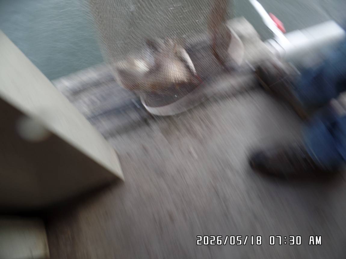 SAM_4325.JPG