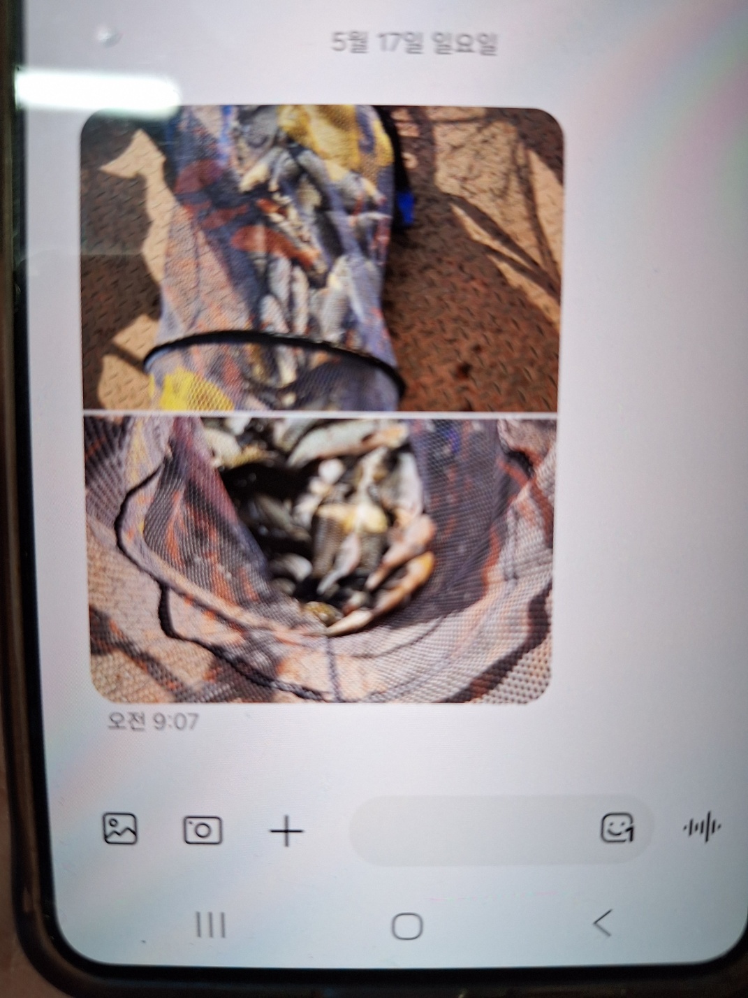 KakaoTalk_20260517_111710991.jpg