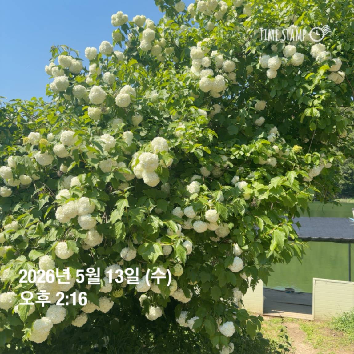 KakaoTalk_20260518_082949151.jpg