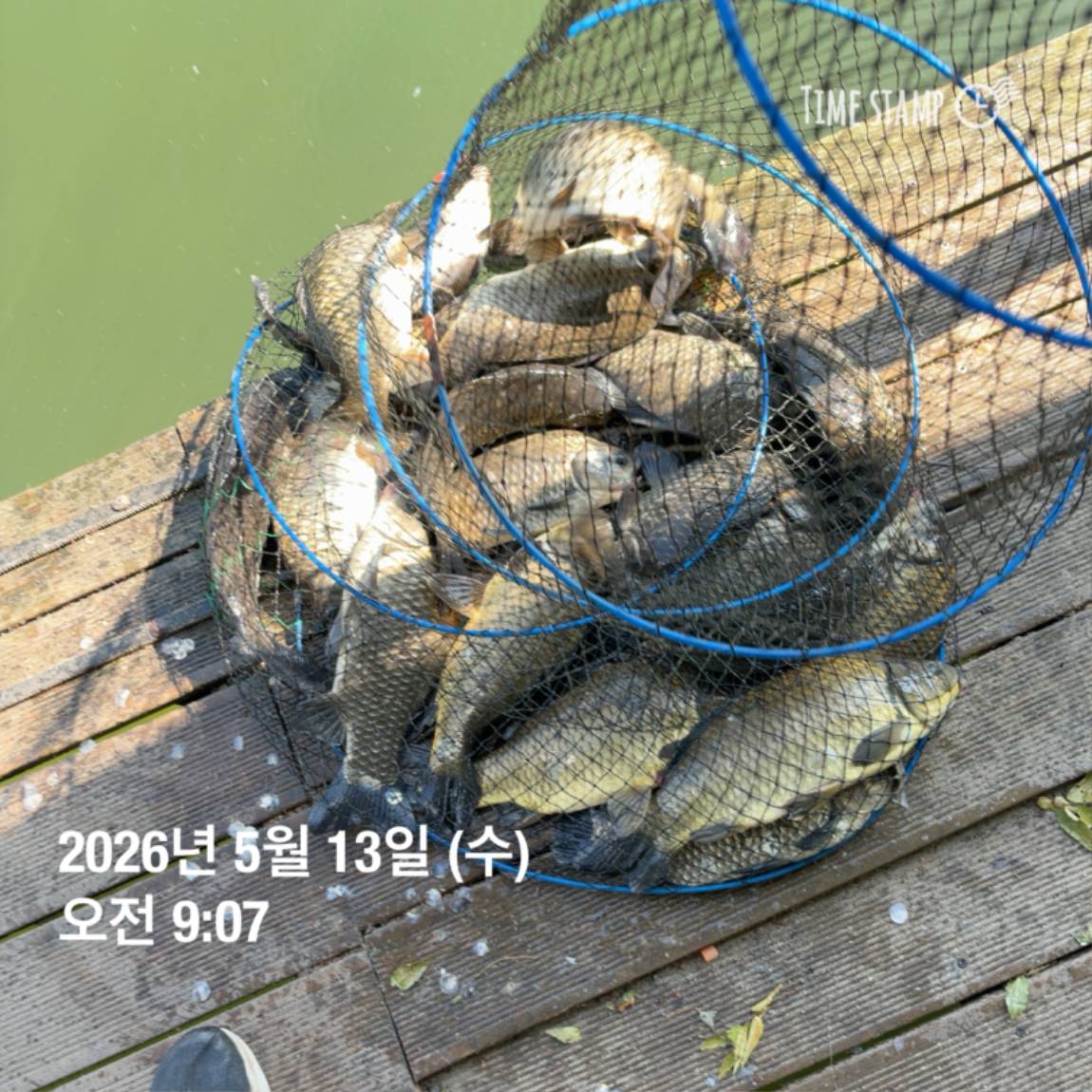 KakaoTalk_20260518_082949151_02.jpg