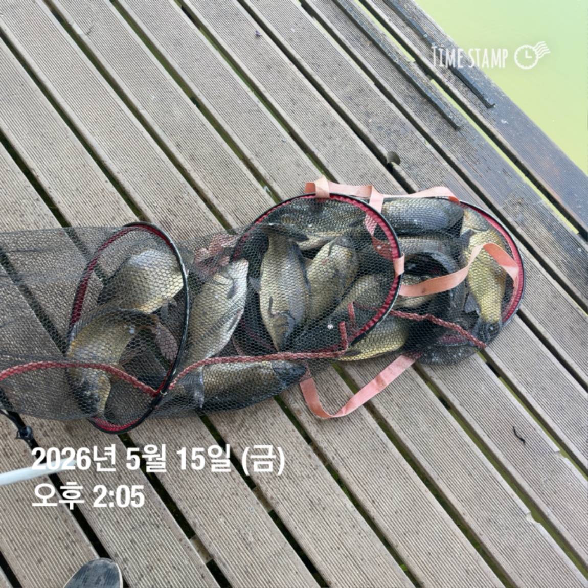 KakaoTalk_20260518_082949151_04.jpg