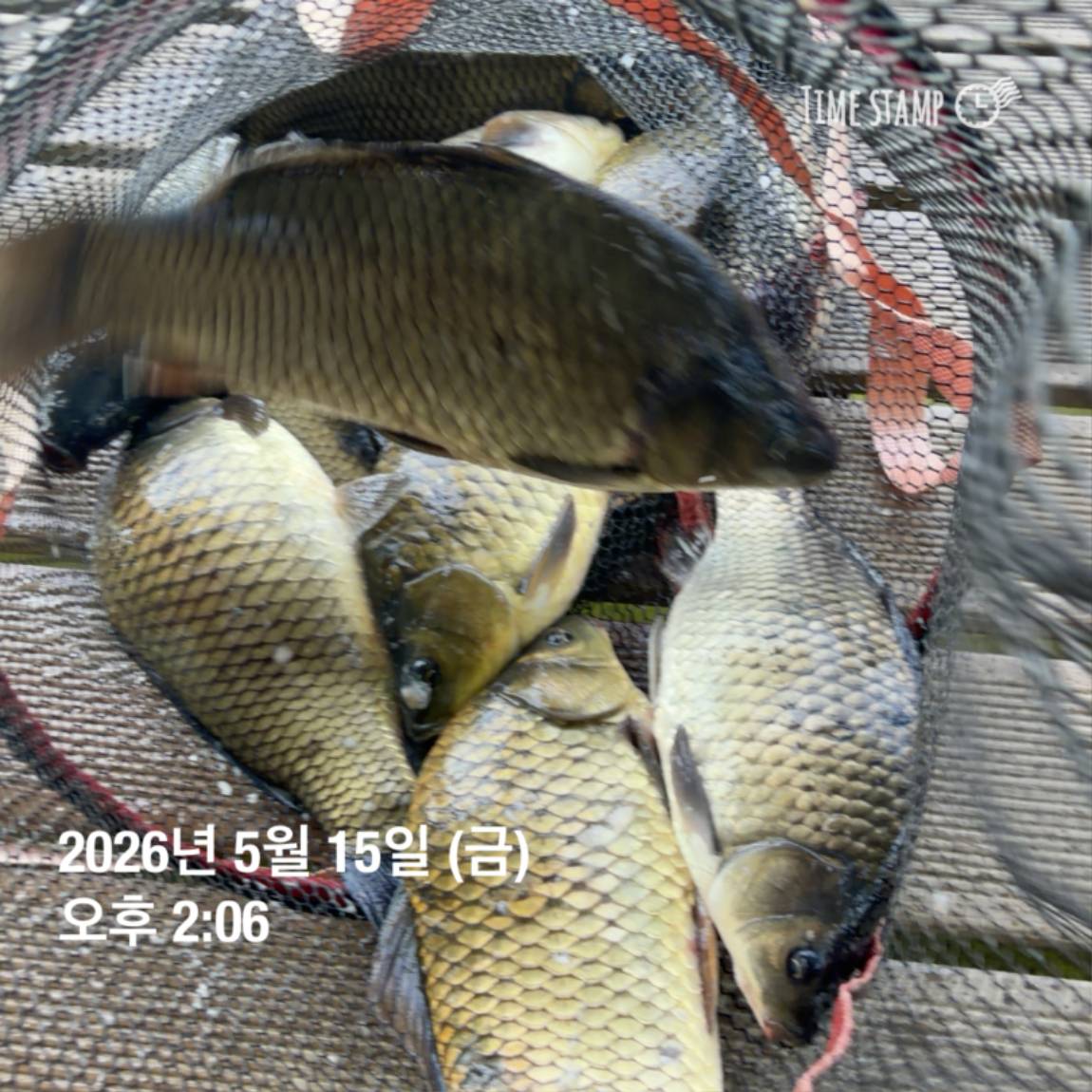 KakaoTalk_20260518_082949151_06.jpg