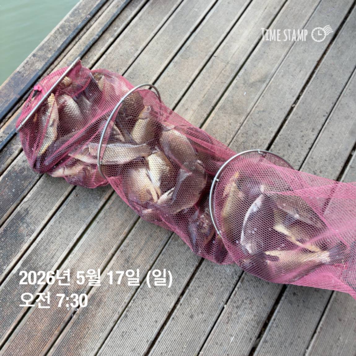 KakaoTalk_20260518_082949151_07.jpg
