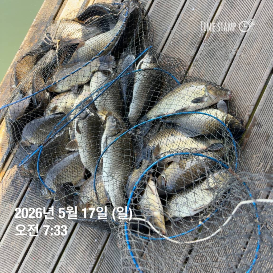 KakaoTalk_20260518_082949151_13.jpg