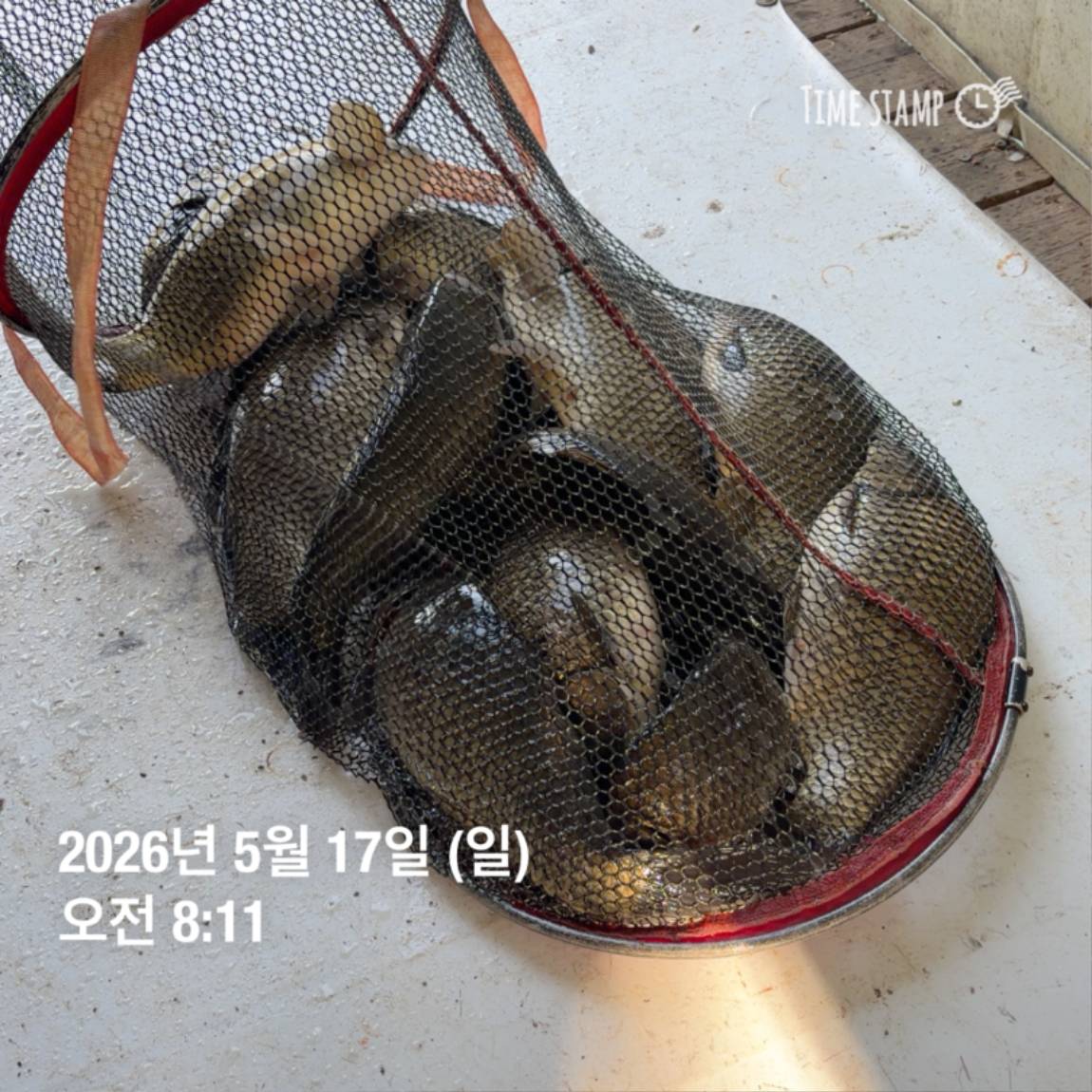 KakaoTalk_20260518_082949151_16.jpg