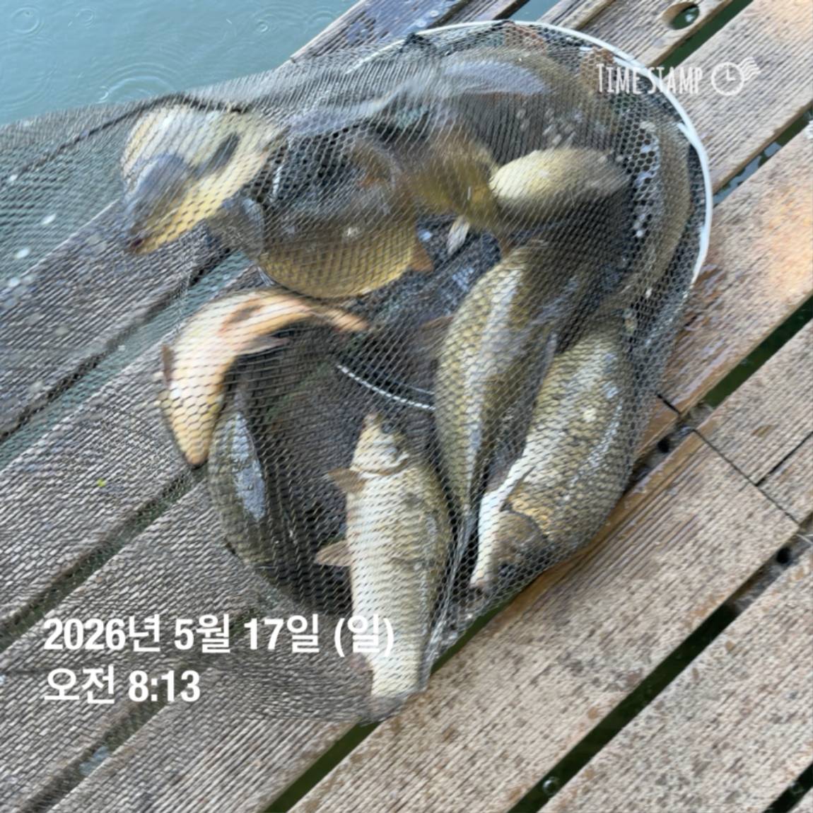 KakaoTalk_20260518_082949151_17.jpg