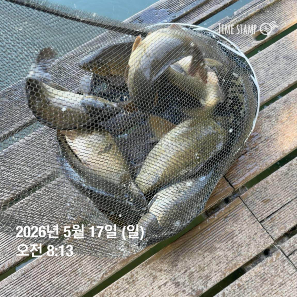 KakaoTalk_20260518_082949151_18.jpg