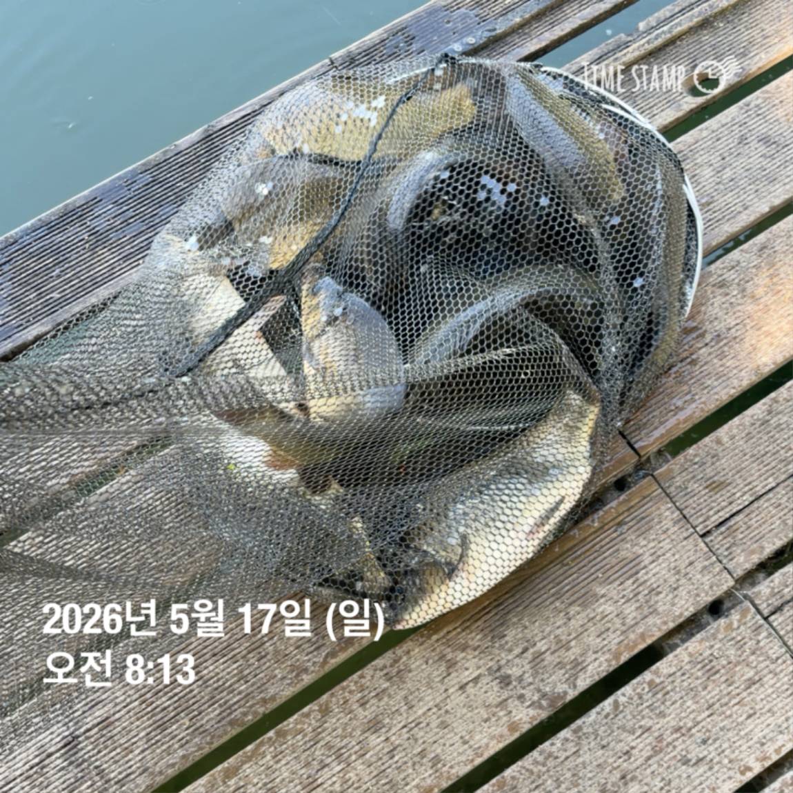 KakaoTalk_20260518_082949151_19.jpg