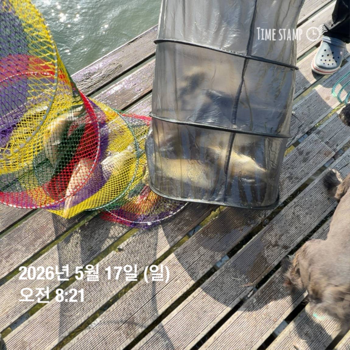 KakaoTalk_20260518_082949151_20.jpg