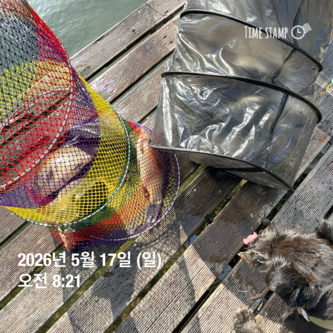 KakaoTalk_20260518_082949151_21.jpg