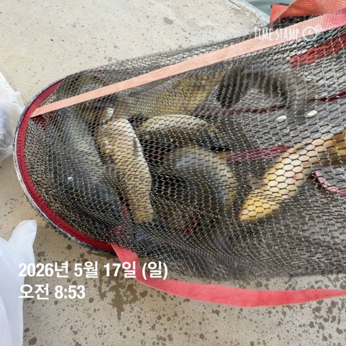 KakaoTalk_20260518_082949151_23.jpg