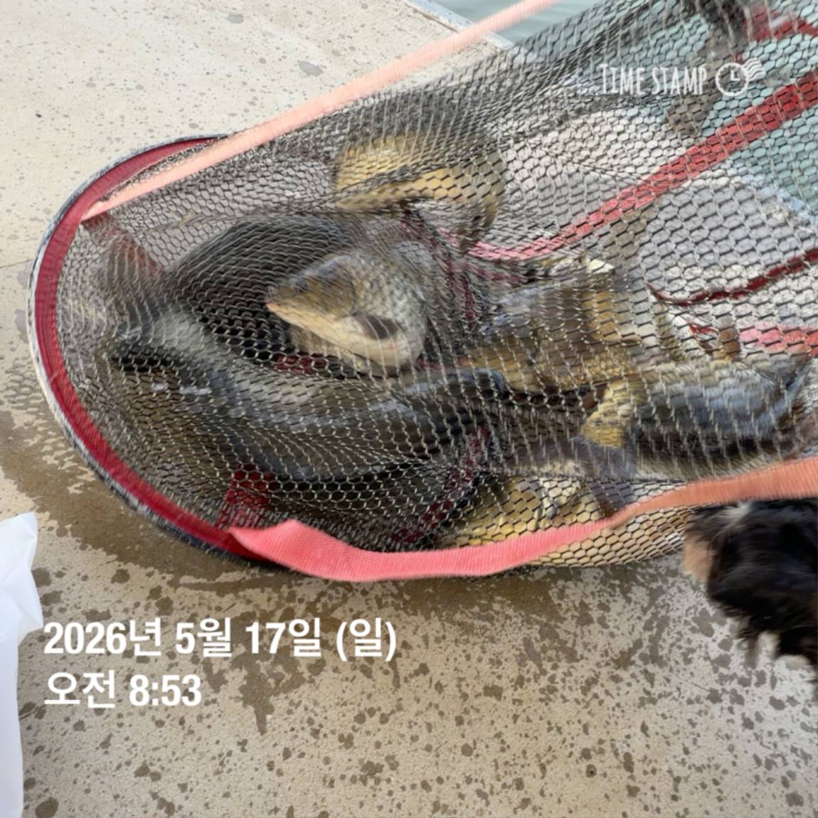 KakaoTalk_20260518_082949151_24.jpg