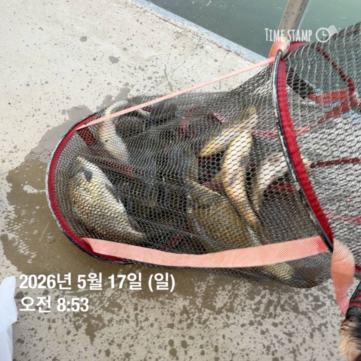 KakaoTalk_20260518_082949151_25.jpg