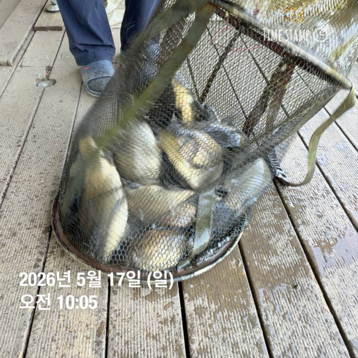 KakaoTalk_20260518_082949151_26.jpg