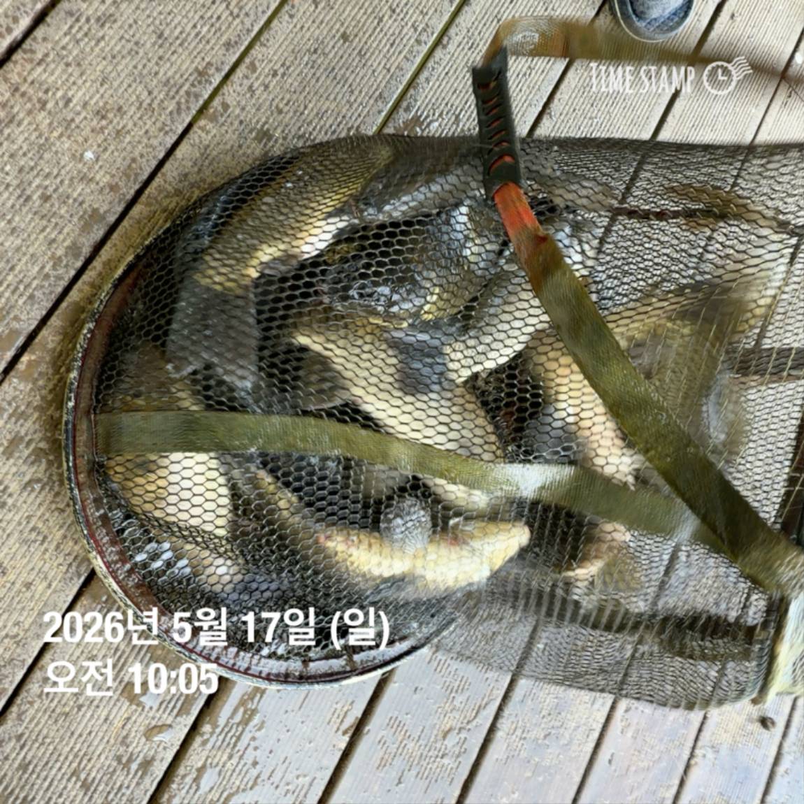 KakaoTalk_20260518_082949151_28.jpg