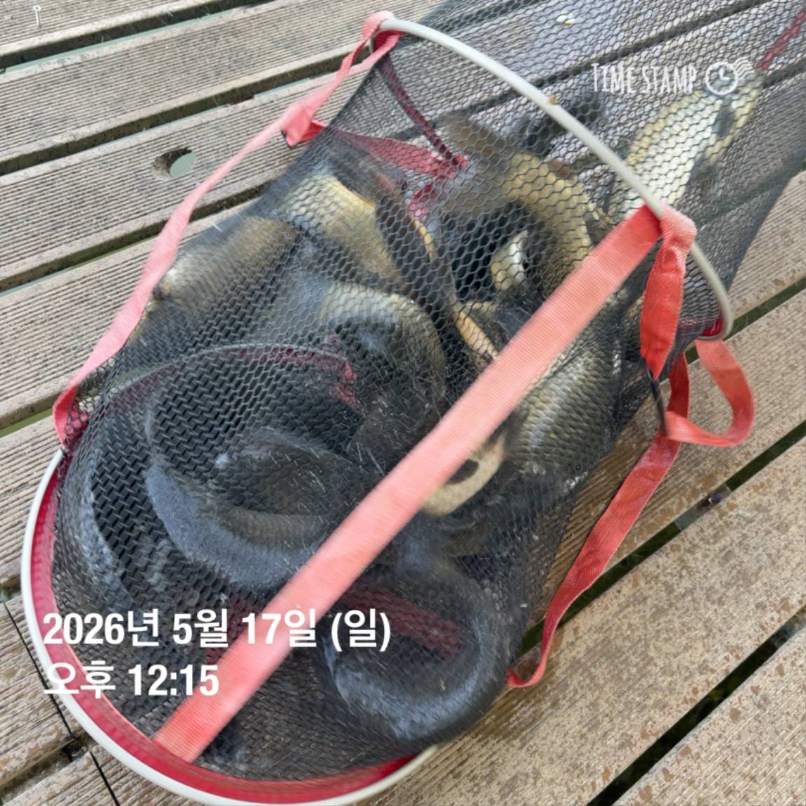KakaoTalk_20260518_082956039_01.jpg