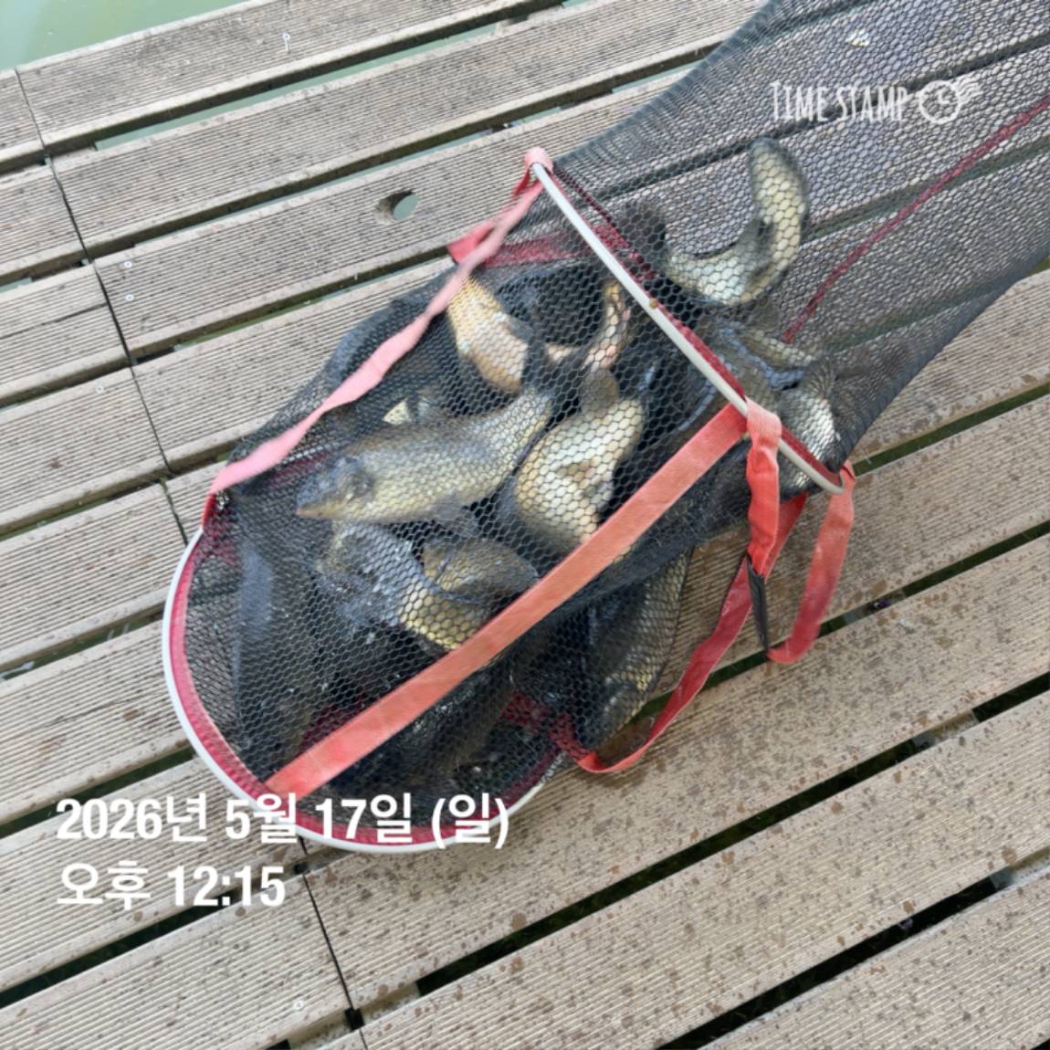 KakaoTalk_20260518_082956039.jpg