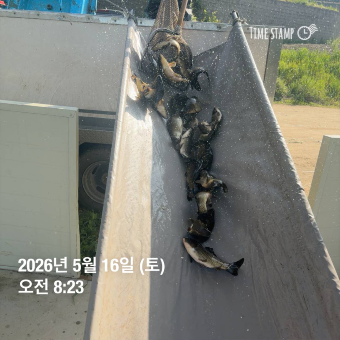 KakaoTalk_20260518_082956039_06.jpg