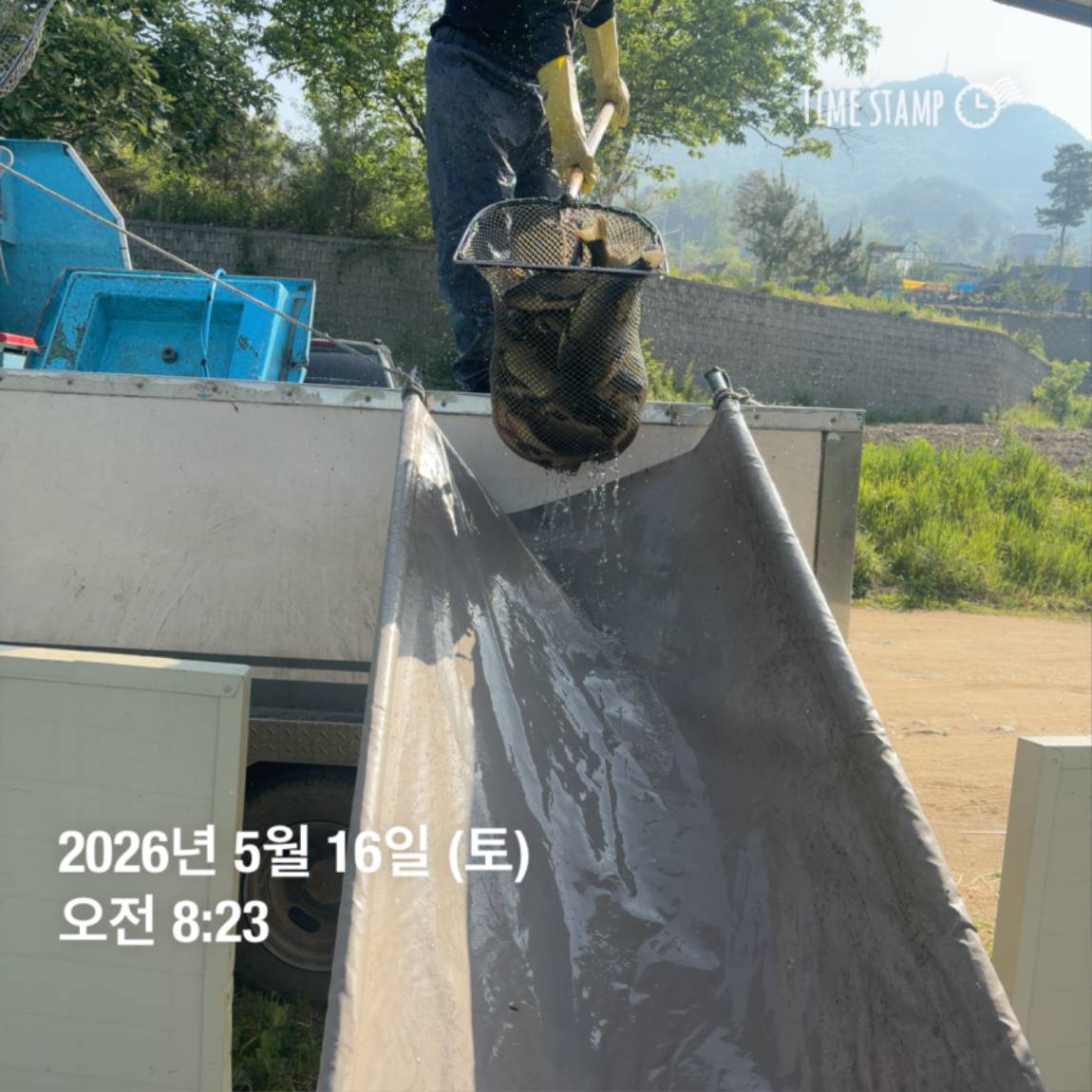 KakaoTalk_20260518_082956039_08.jpg