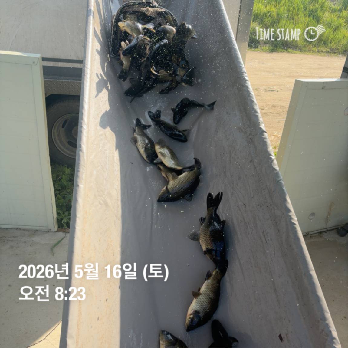 KakaoTalk_20260518_082956039_09.jpg