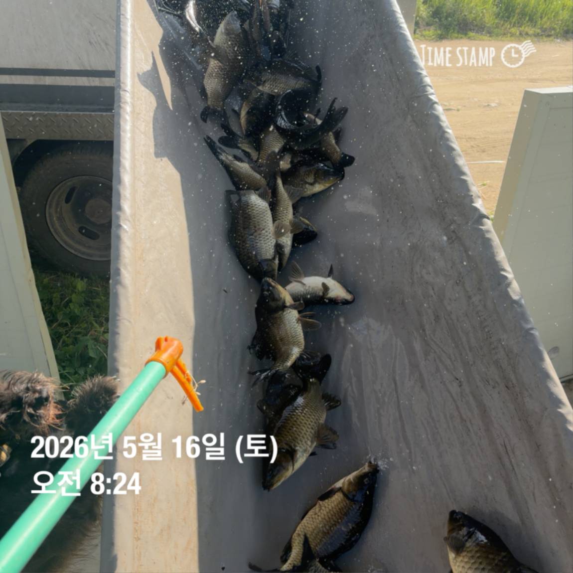 KakaoTalk_20260518_082956039_11.jpg