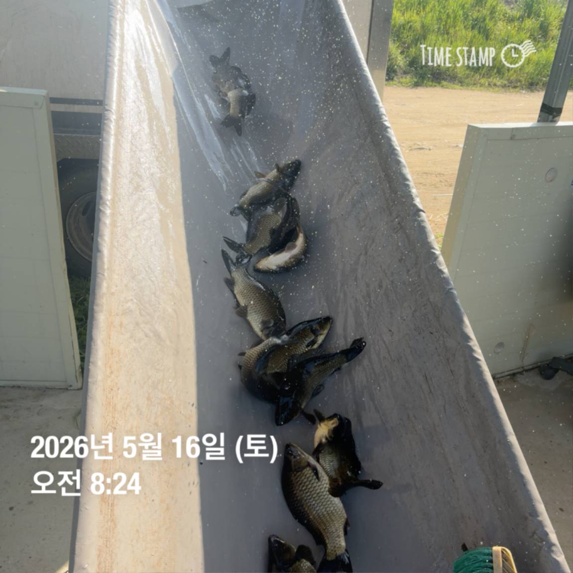 KakaoTalk_20260518_082956039_17.jpg