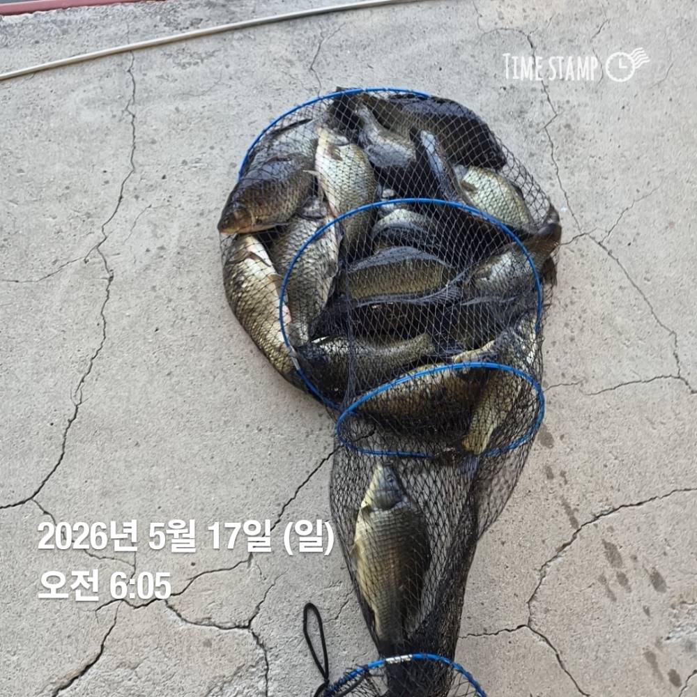 1779066061083.jpg