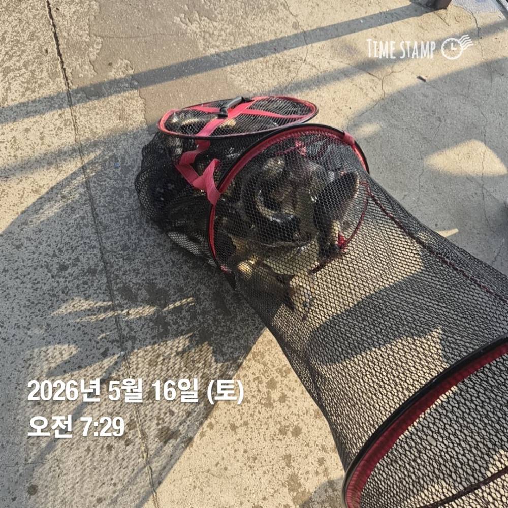 1779066077183.jpg