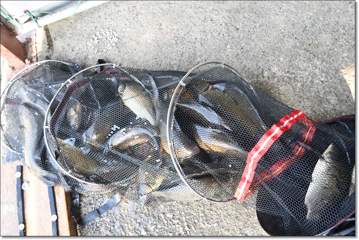 DSC_6712.JPG