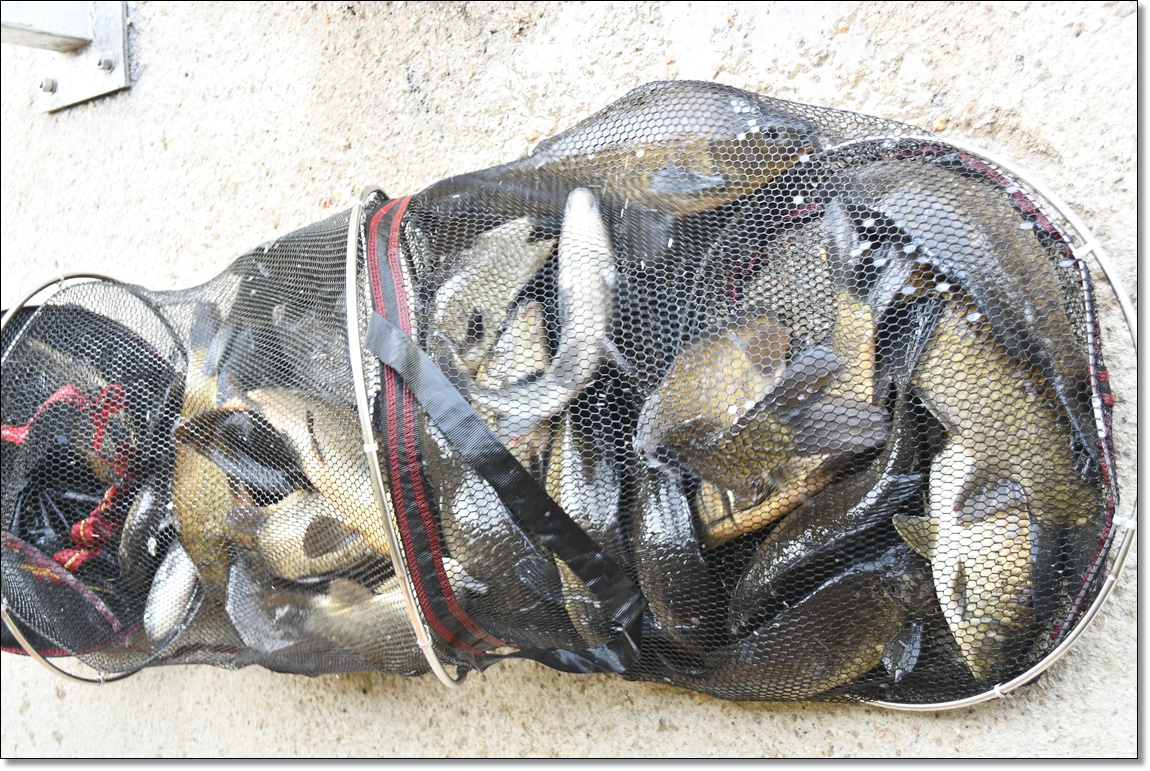 DSC_6728.JPG