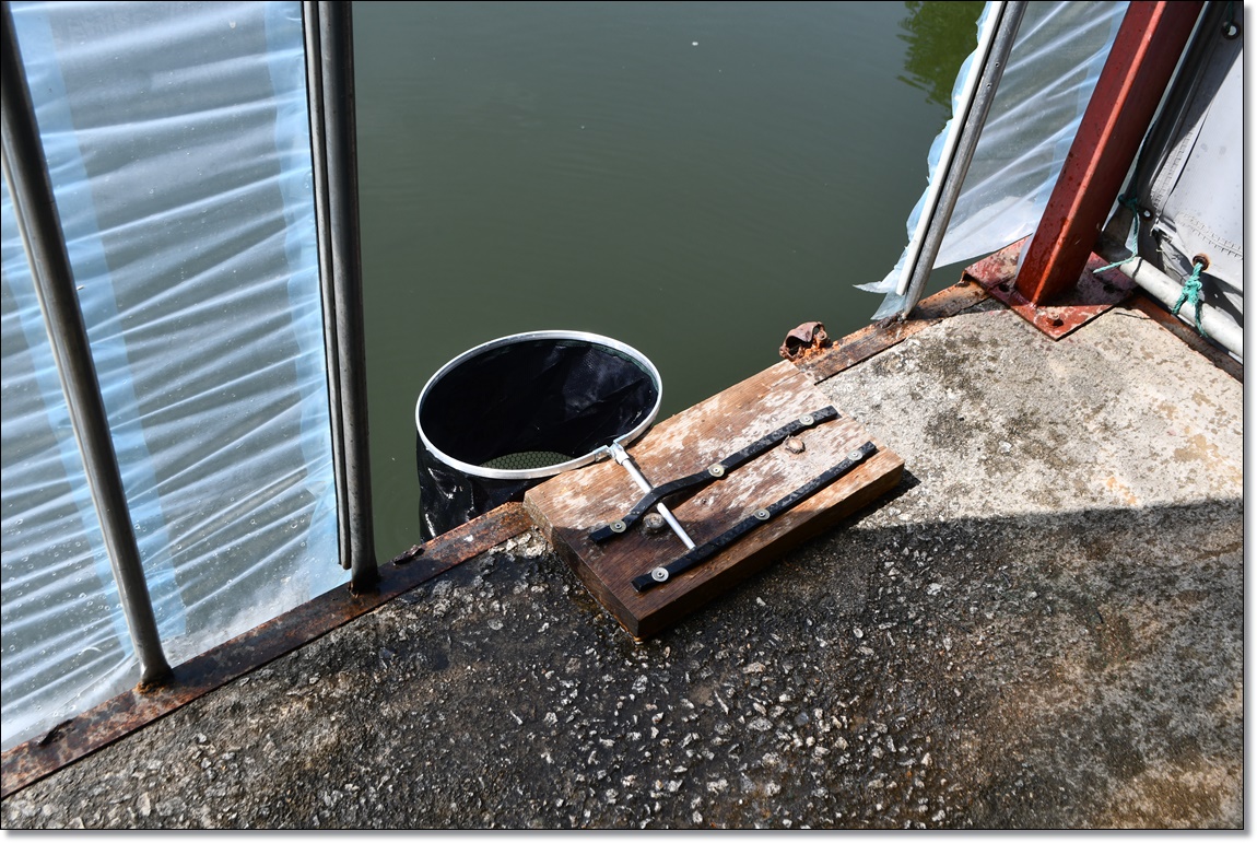 DSC_6750.JPG