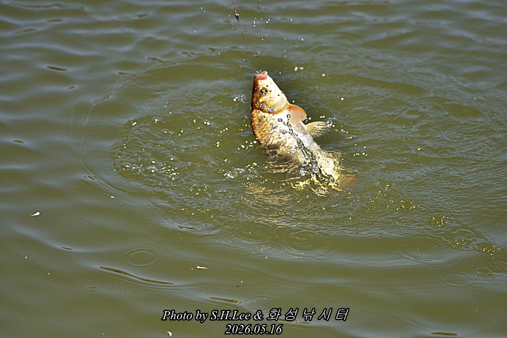 _LSH8625.JPG